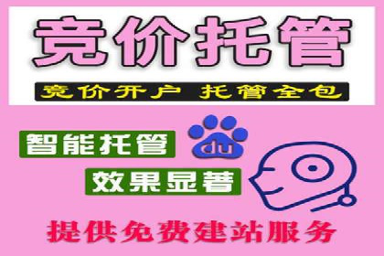SEM优化案例：如何提升搜索引擎广告效果